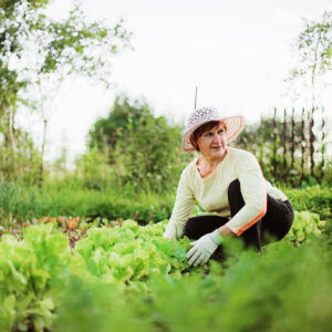 Horticulture Therapy: Gardening As a Cure for Our Ailments Image